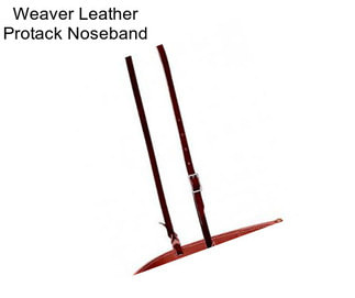 Weaver Leather Protack Noseband