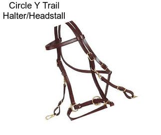 Circle Y Trail Halter/Headstall