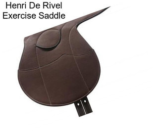 Henri De Rivel Exercise Saddle