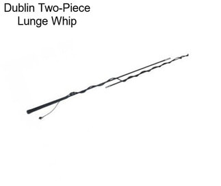 Dublin Two-Piece Lunge Whip