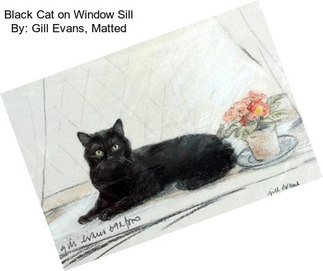 Black Cat on Window Sill By: Gill Evans, Matted