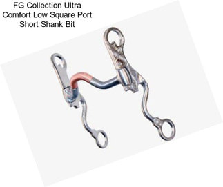 FG Collection Ultra Comfort Low Square Port Short Shank Bit