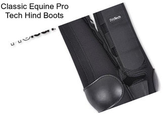 Classic Equine Pro Tech Hind Boots