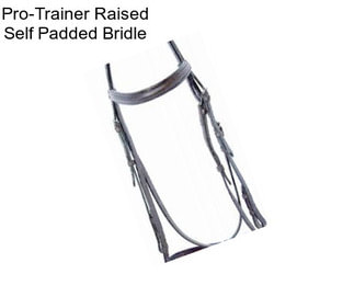 Pro-Trainer Raised Self Padded Bridle