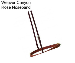 Weaver Canyon Rose Noseband