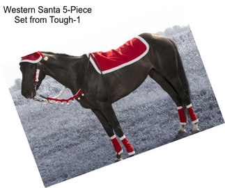 Western Santa 5-Piece Set from Tough-1