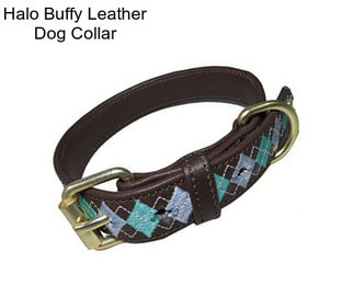 Halo Buffy Leather Dog Collar