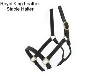 Royal King Leather Stable Halter