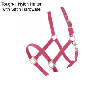 Tough-1 Nylon Halter with Satin Hardware