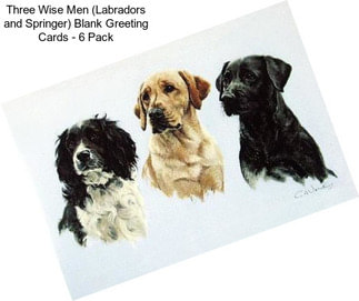 Three Wise Men (Labradors and Springer) Blank Greeting Cards - 6 Pack