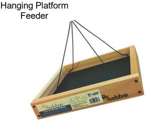 Hanging Platform Feeder