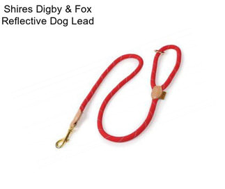 Shires Digby & Fox Reflective Dog Lead