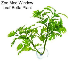 Zoo Med Window Leaf Betta Plant