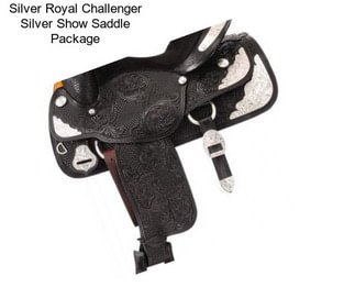 Silver Royal Challenger Silver Show Saddle Package