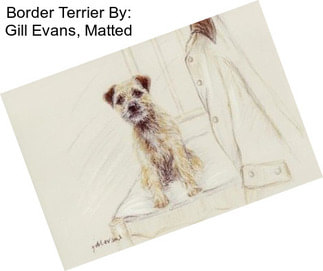 Border Terrier By: Gill Evans, Matted