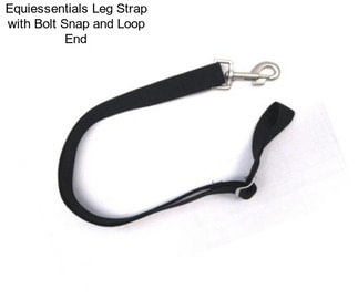 Equiessentials Leg Strap with Bolt Snap and Loop End