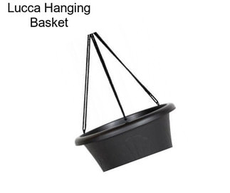 Lucca Hanging Basket