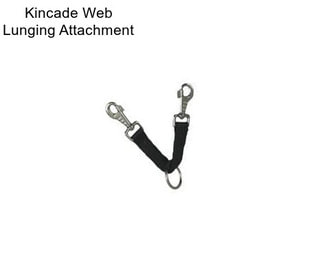 Kincade Web Lunging Attachment