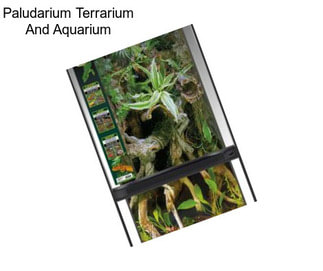 Paludarium Terrarium And Aquarium