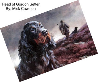 Head of Gordon Setter By: Mick Cawston