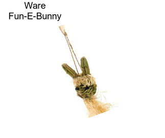 Ware Fun-E-Bunny