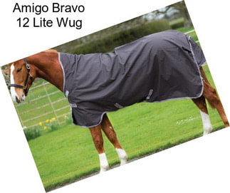 Amigo Bravo 12 Lite Wug