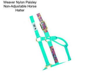 Weaver Nylon Paisley Non-Adjustable Horse Halter