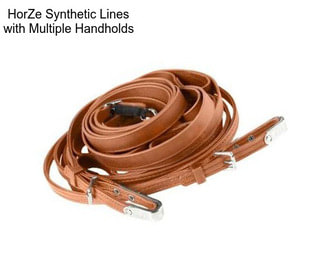 HorZe Synthetic Lines with Multiple Handholds