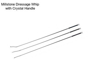 Millstone Dressage Whip with Crystal Handle