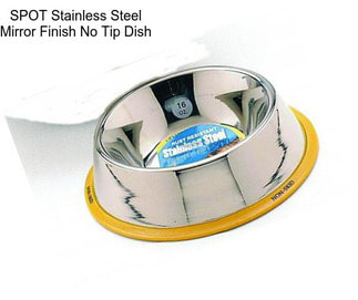 SPOT Stainless Steel Mirror Finish No Tip Dish