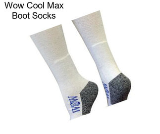 Wow Cool Max Boot Socks