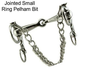 Jointed Small Ring Pelham Bit