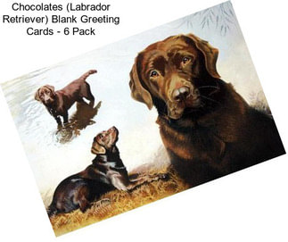 Chocolates (Labrador Retriever) Blank Greeting Cards - 6 Pack