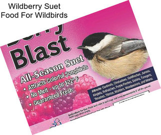 Wildberry Suet Food For Wildbirds