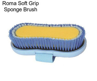 Roma Soft Grip Sponge Brush