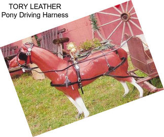 TORY LEATHER Pony Driving Harness