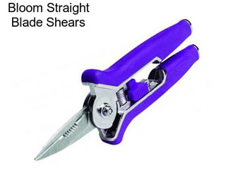 Bloom Straight Blade Shears