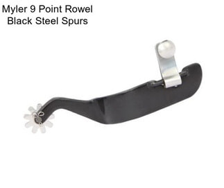 Myler 9 Point Rowel Black Steel Spurs