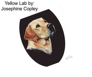Yellow Lab by: Josephine Copley
