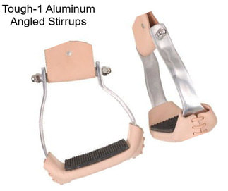 Tough-1 Aluminum Angled Stirrups