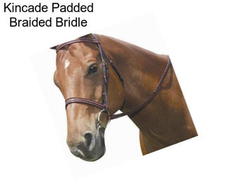 Kincade Padded Braided Bridle