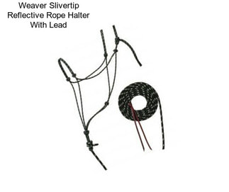 Weaver Slivertip Reflective Rope Halter With Lead
