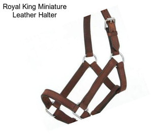 Royal King Miniature Leather Halter