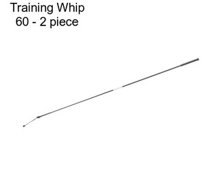 Training Whip 60\