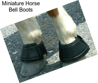 Miniature Horse Bell Boots