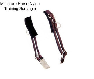 Miniature Horse Nylon Training Surcingle