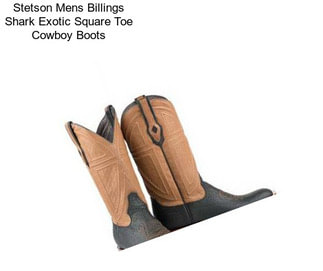 Stetson Mens Billings Shark Exotic Square Toe Cowboy Boots