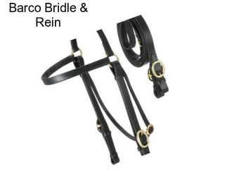 Barco Bridle & Rein