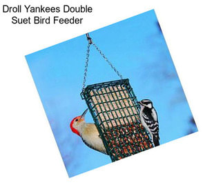 Droll Yankees Double Suet Bird Feeder