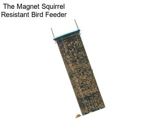 The Magnet Squirrel Resistant Bird Feeder